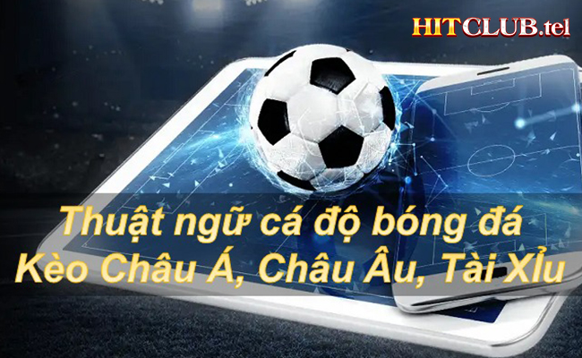 10 Thuật Ngữ Cá Độ Bạn Phải Biết Trước Khi Đặt Cược