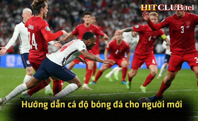 Cá Độ Bóng Đá Cho Người Mới: Hướng Dẫn Từ A đến Z