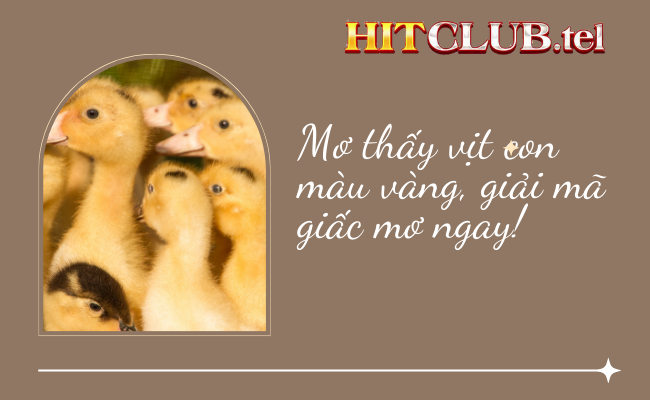Ý Nghĩa Của Giấc Mơ Thấy Vịt Con Màu Vàng: Tài Lộc Hay Sức Khỏe?