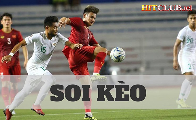 Cách đọc tỷ lệ kèo - Hướng dẫn cho người mới