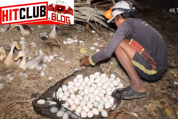 Ý nghĩa của giấc mơ
